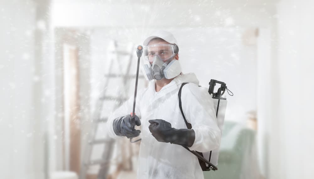 Certified technician performing mold treatment, illustrating the difference between hiring mold removal professionals versus attempting DIY mold removal.