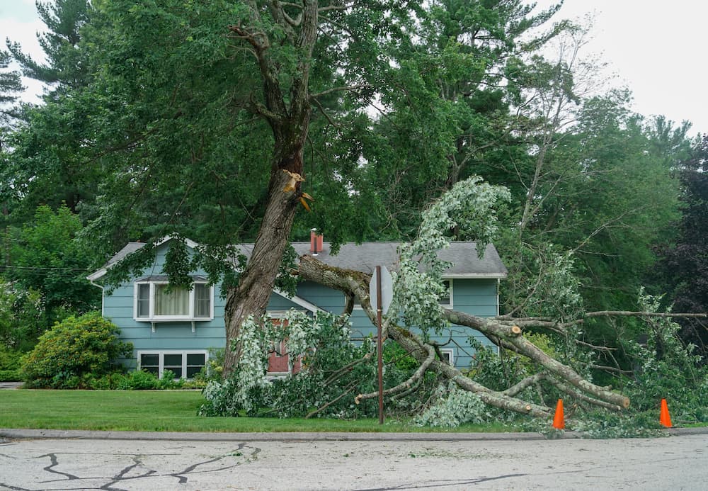 Residential home damaged by a fallen tree, promoting services for emergency storm damage repair and home insurance claims.